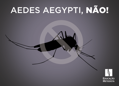 Colégio Metodista Bennett entra na luta contra o mosquito Aedes aegypti